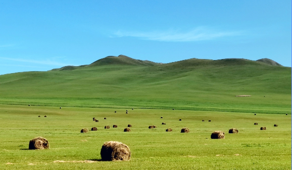 global agriculture trends 2026 farming landscape