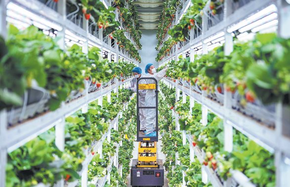 China agricultural modernization June 2026