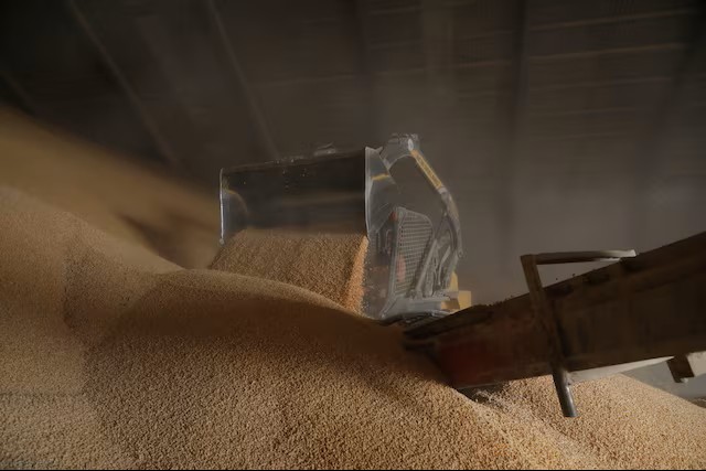 Global food security June 2026