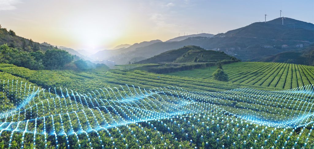 The future of global agriculture reflected in modern farming in Brazil