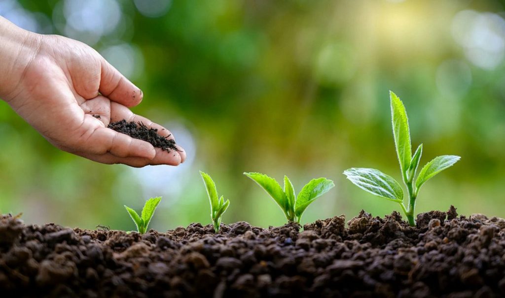Agricultural machinery operating with a focus on soil protection and field efficiency